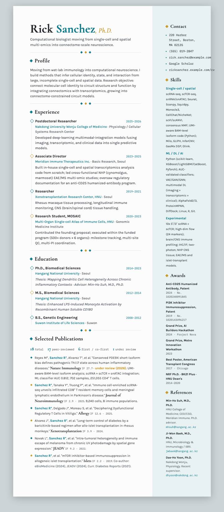 Diamond Divider Serif CV template preview