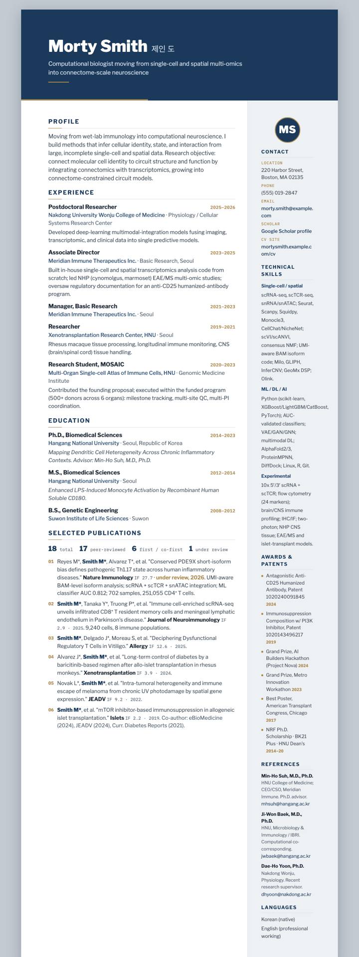 Navy Executive Rule CV template preview