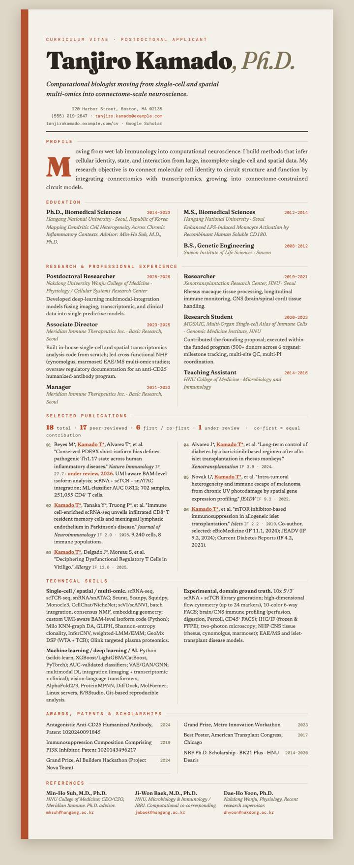 Terracotta Editorial CV template preview