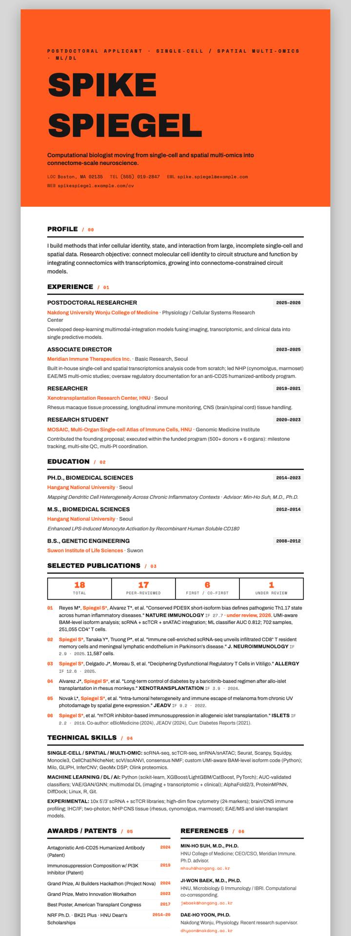 Bold Color-Block Header CV template preview