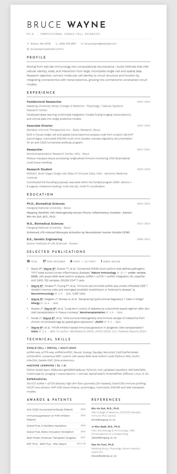 Minimal Line-Icon CV template preview