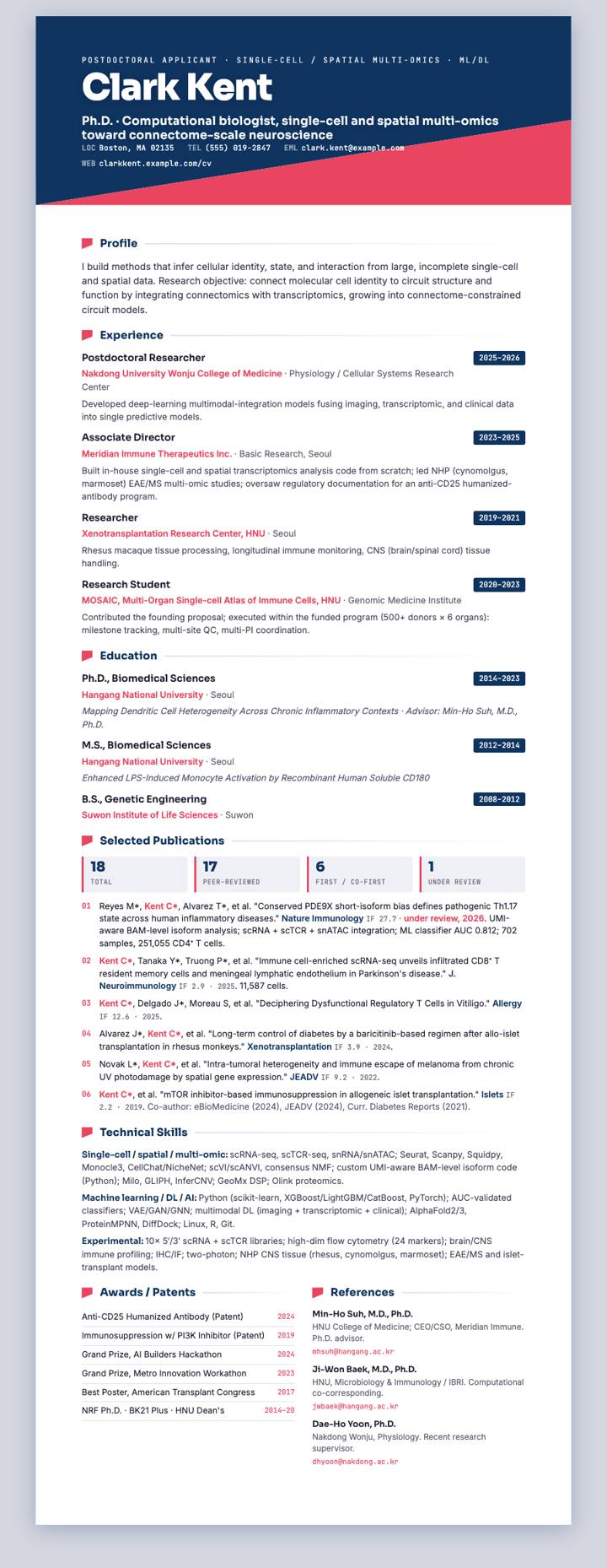 Two-Tone Diagonal CV template preview