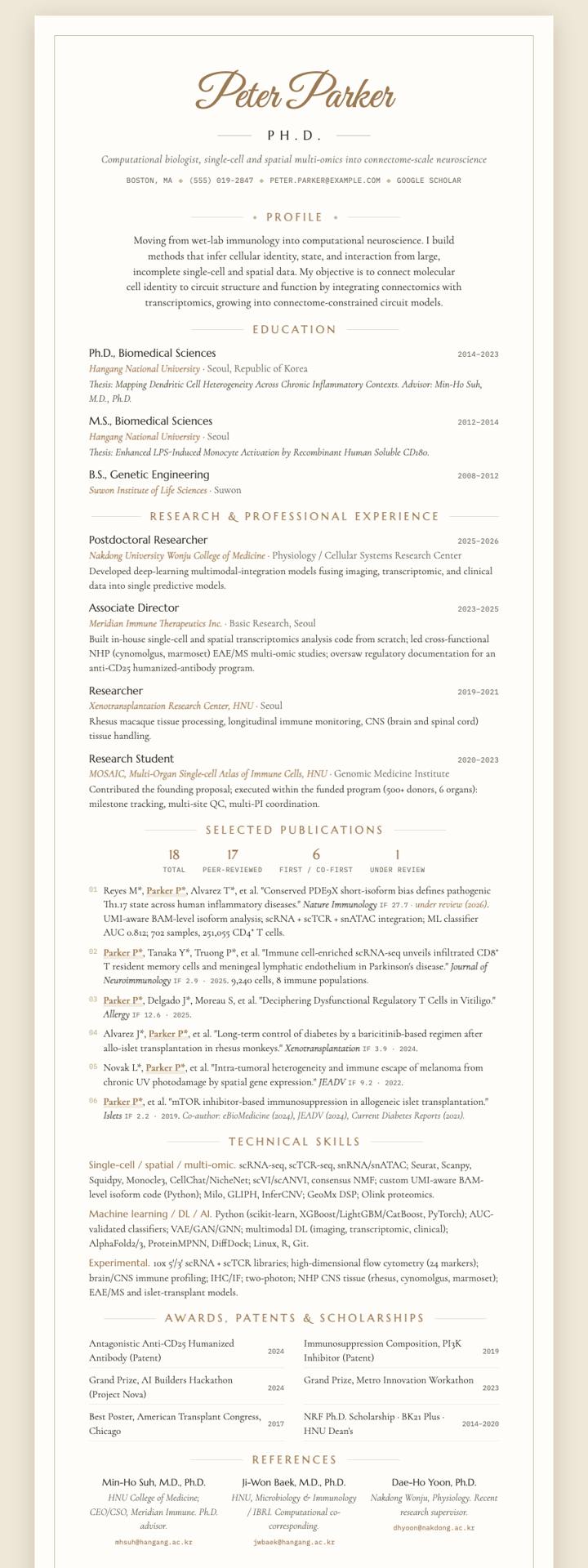 Script Accent Elegant CV template preview