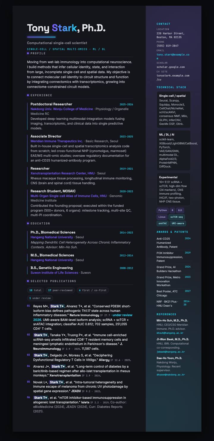 Dark Portfolio CV template preview