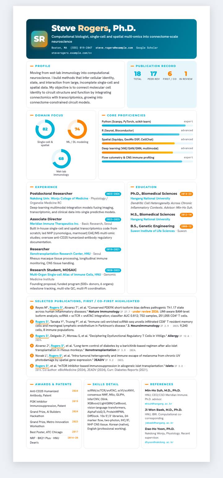 Infographic Donuts CV template preview