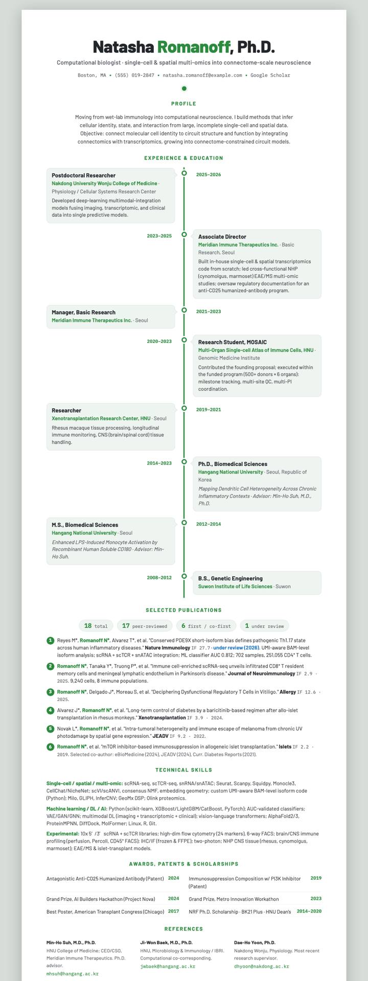 Timeline Spine Vertical CV template preview