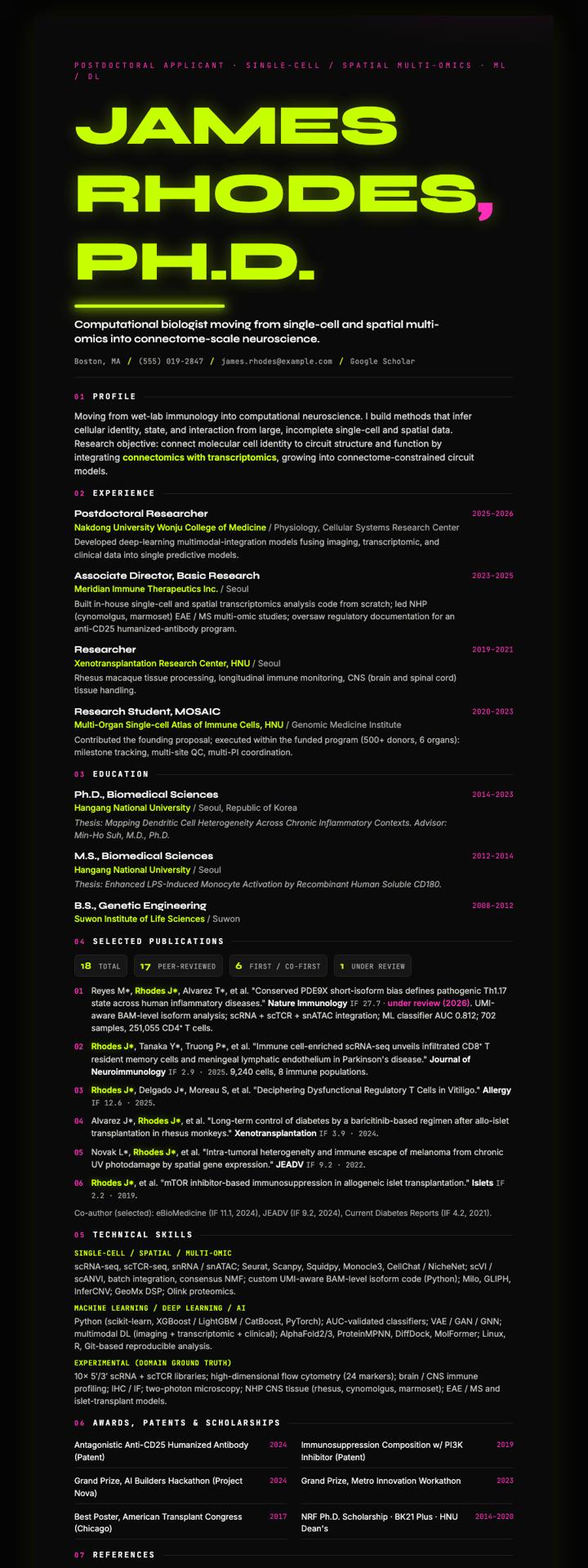 Neon on Black CV template preview