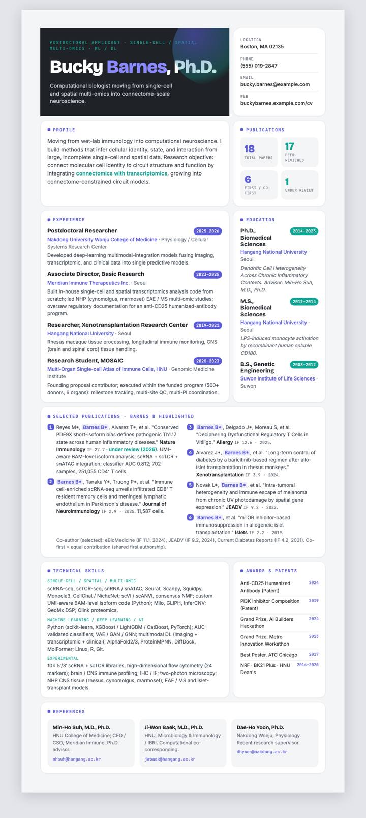 Bento Modular CV template preview