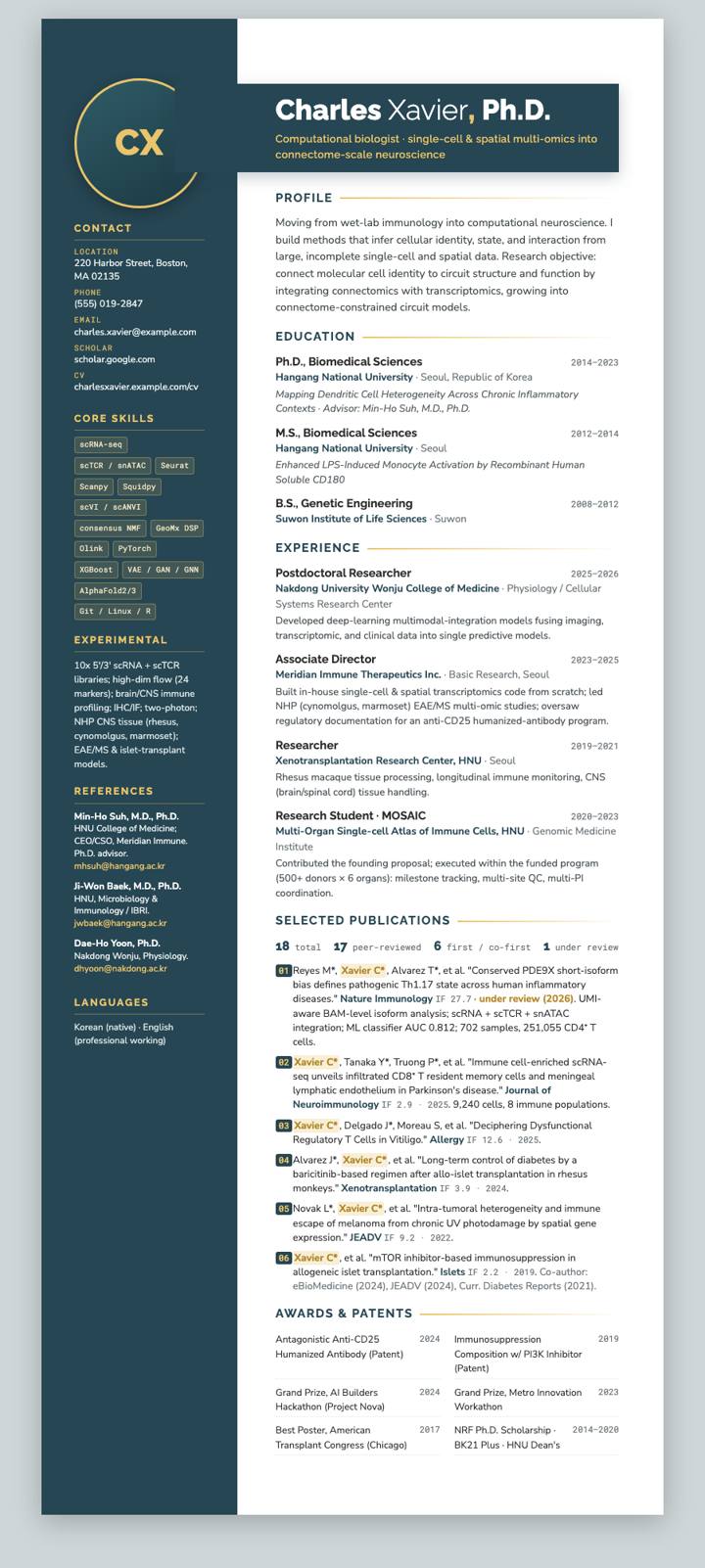Photo-Forward Panel CV template preview