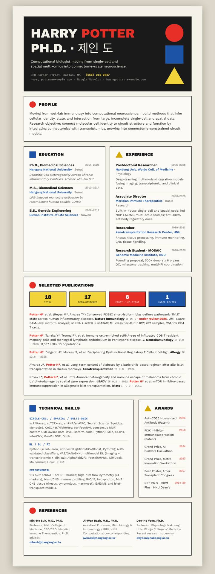 Bauhaus Primary CV template preview