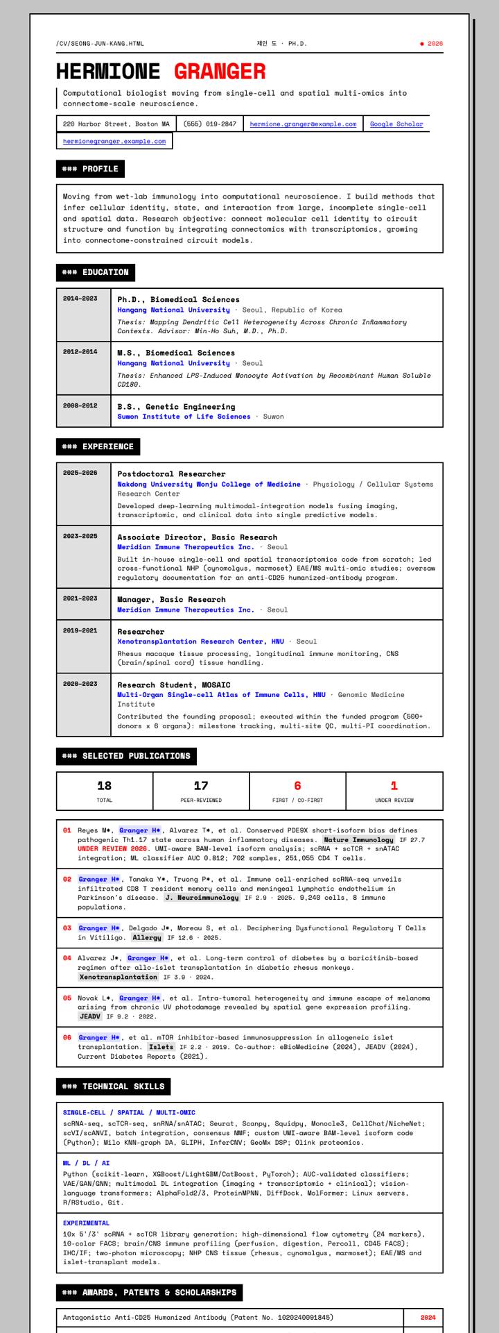 Brutalist Web CV template preview