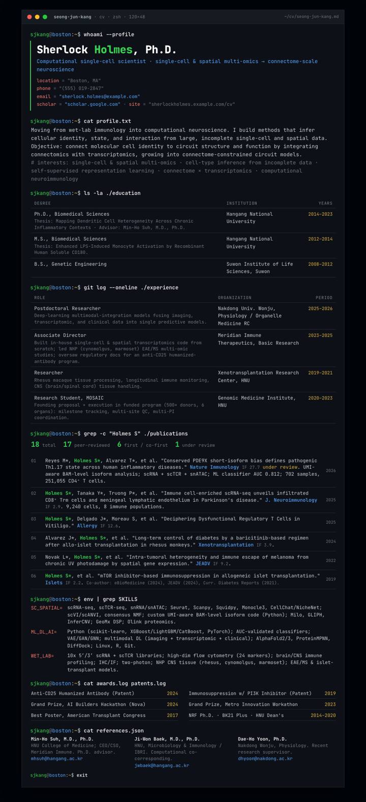 Terminal Developer CV template preview