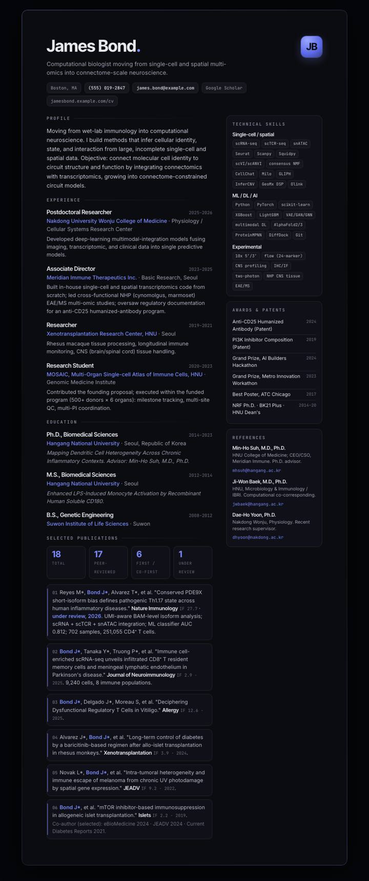 Linear Dark CV template preview