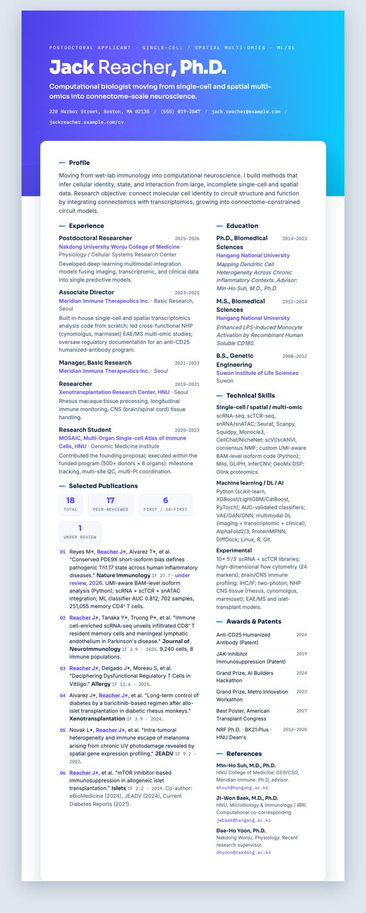 Stripe Gradient CV template preview