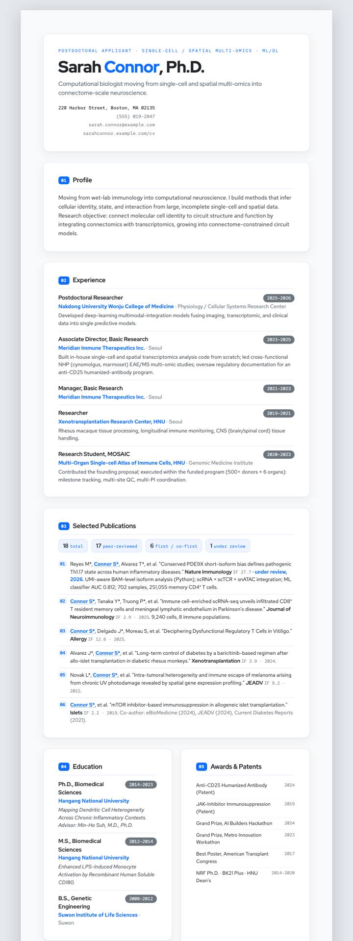 Editorial Well CV template preview