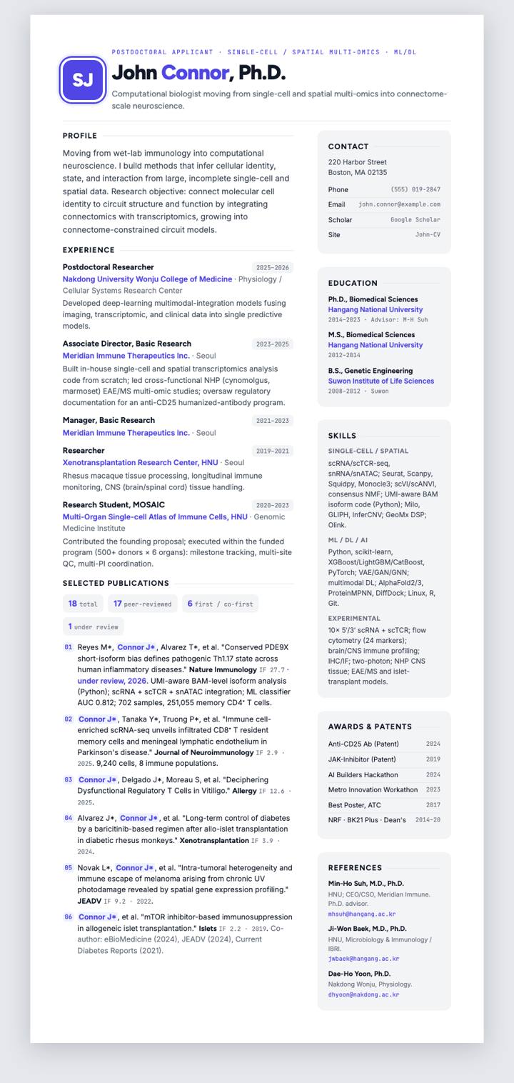 Tailwind Clean CV template preview