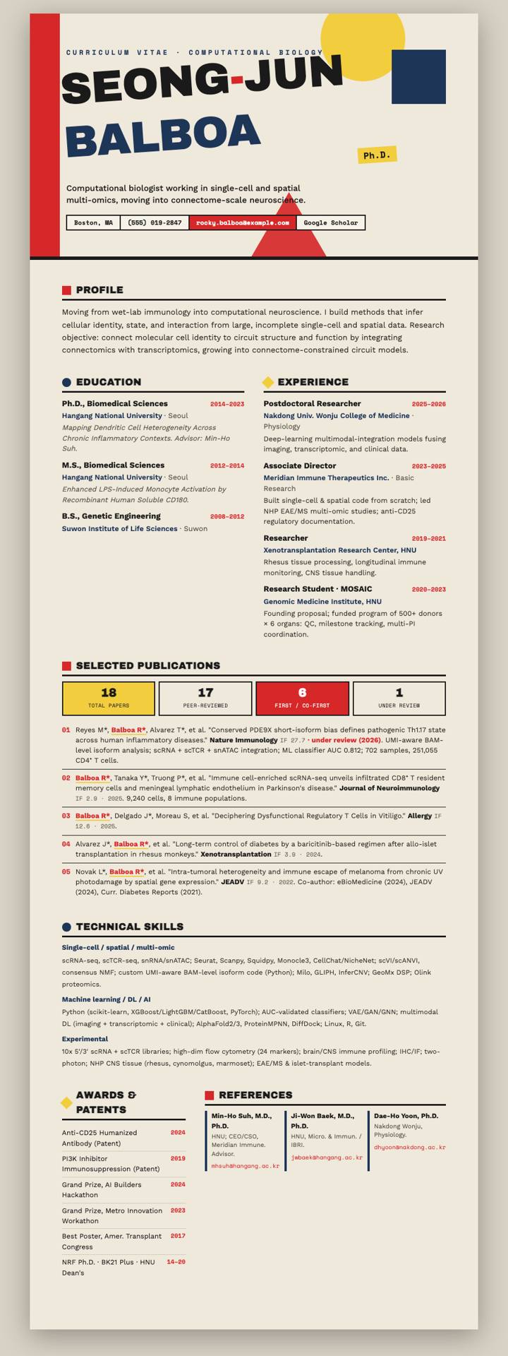 Bauhaus Poster CV template preview