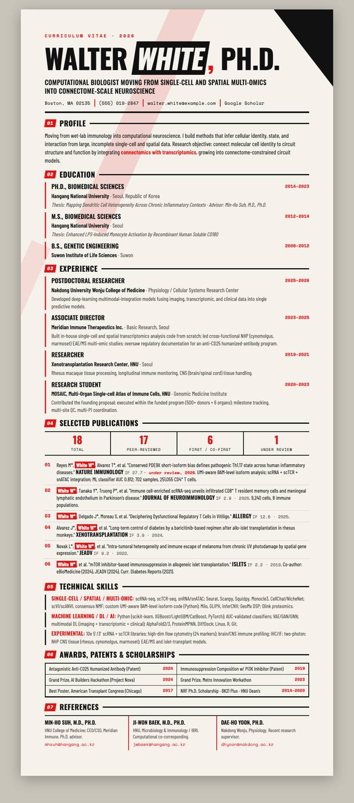 Constructivist CV template preview