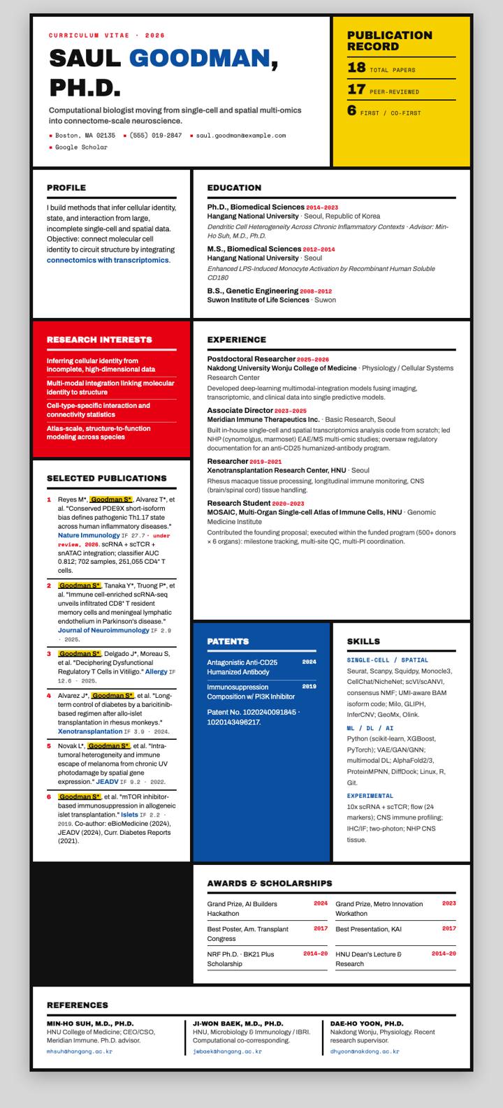 De Stijl Mondrian CV template preview