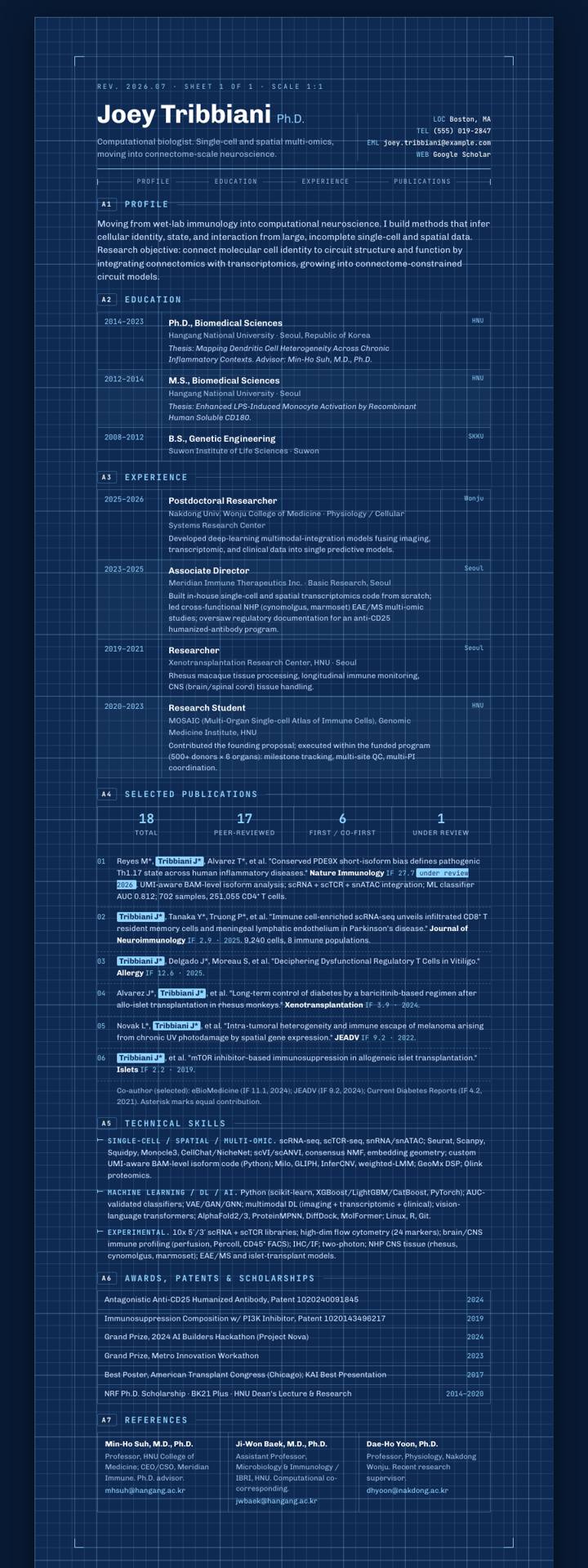 Blueprint Technical CV template preview