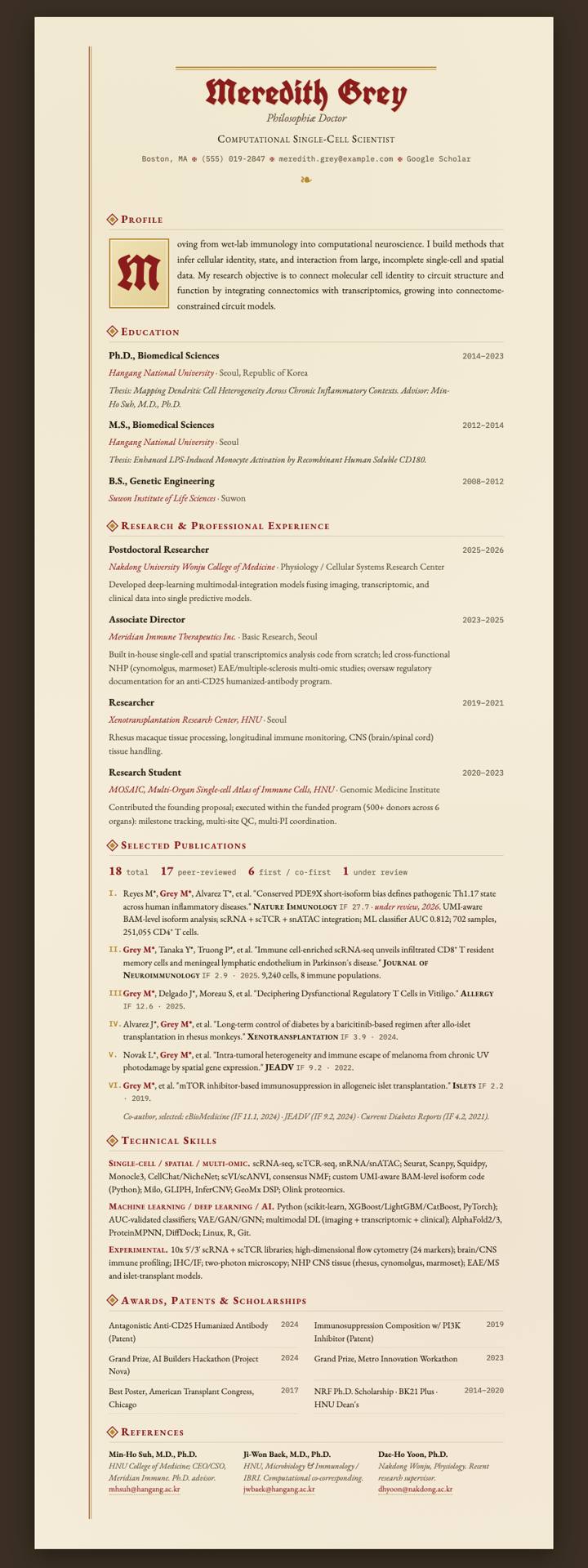 Illuminated Manuscript CV template preview