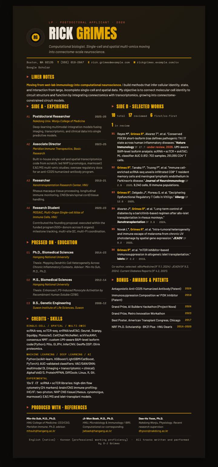 Vinyl Liner Notes CV template preview