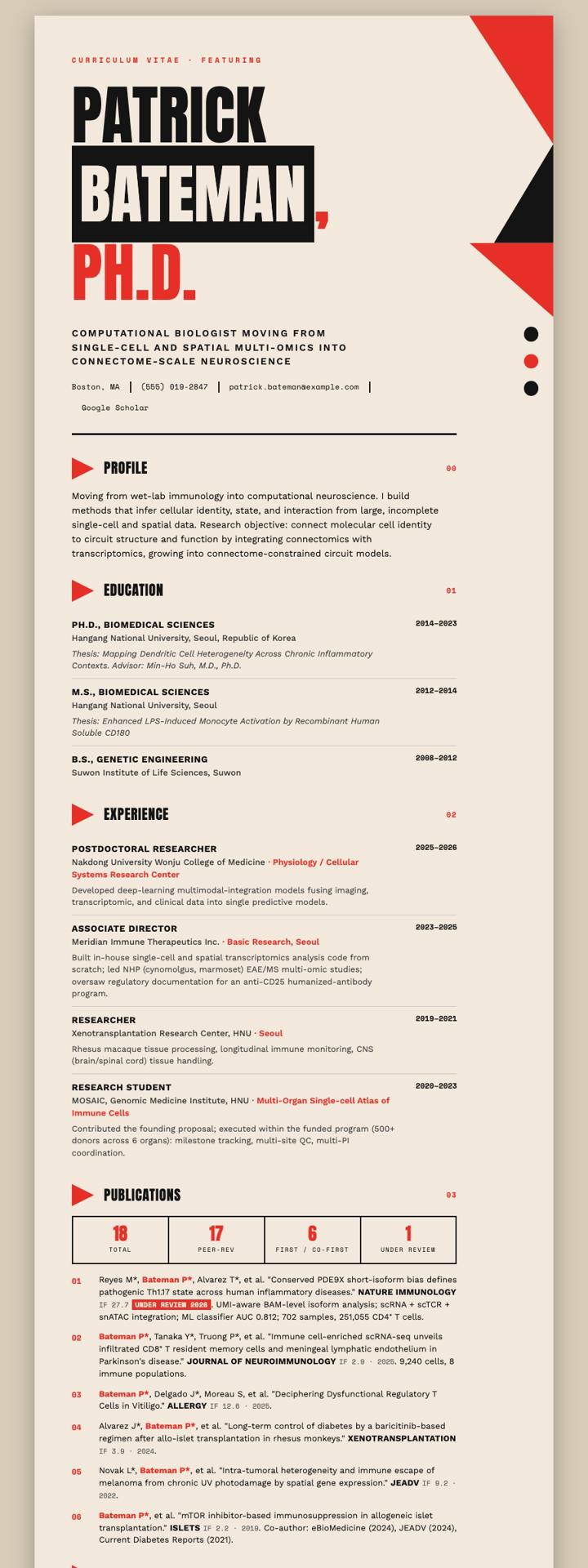 Saul Bass Title CV template preview