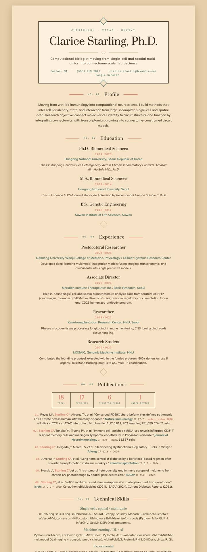 Wes Anderson Symmetry CV template preview