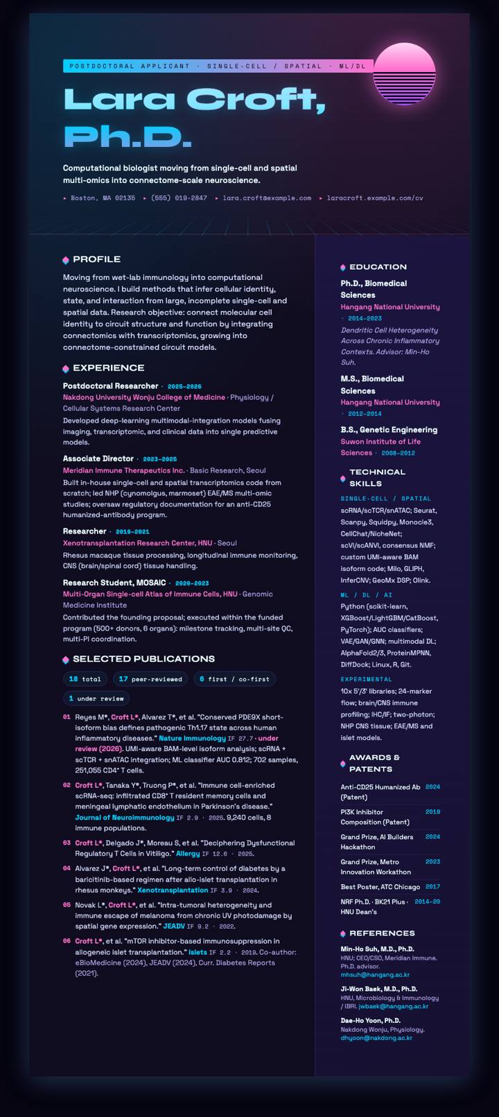 Y2K Vaporwave CV template preview