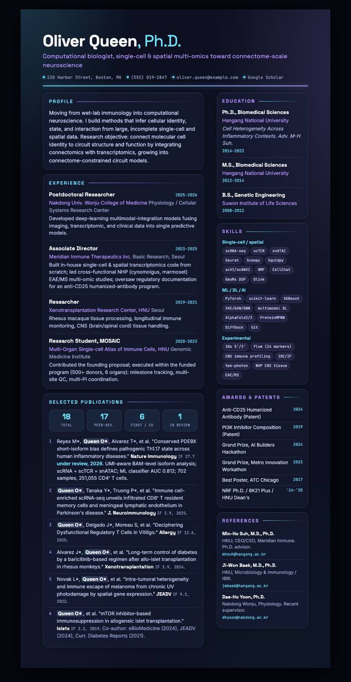 Aurora Glass CV template preview