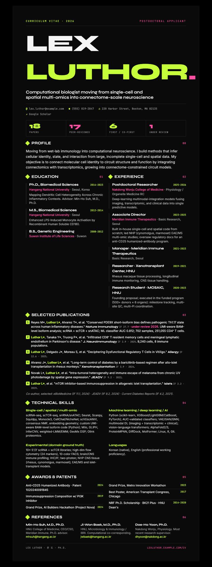 Syne Poster CV template preview