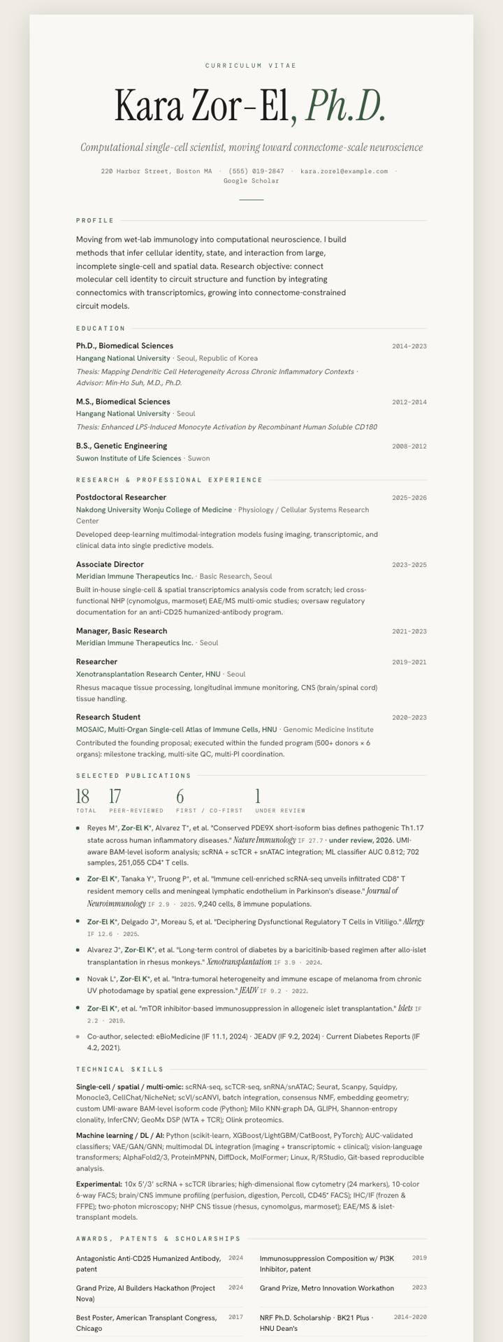 Instrument Ivory CV template preview