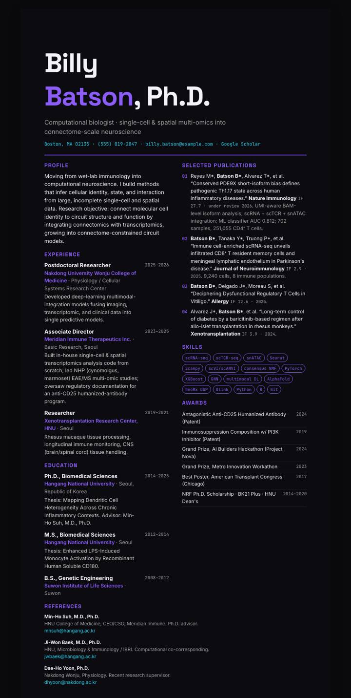 Ultra Noir Poster CV template preview