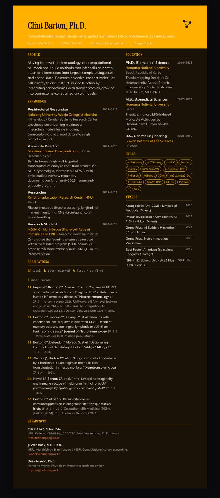 Amber Dusk Banner CV template preview
