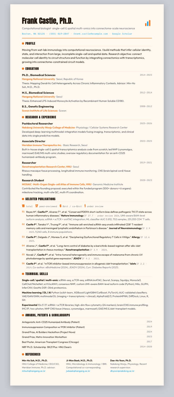 Sunburst Rule CV template preview