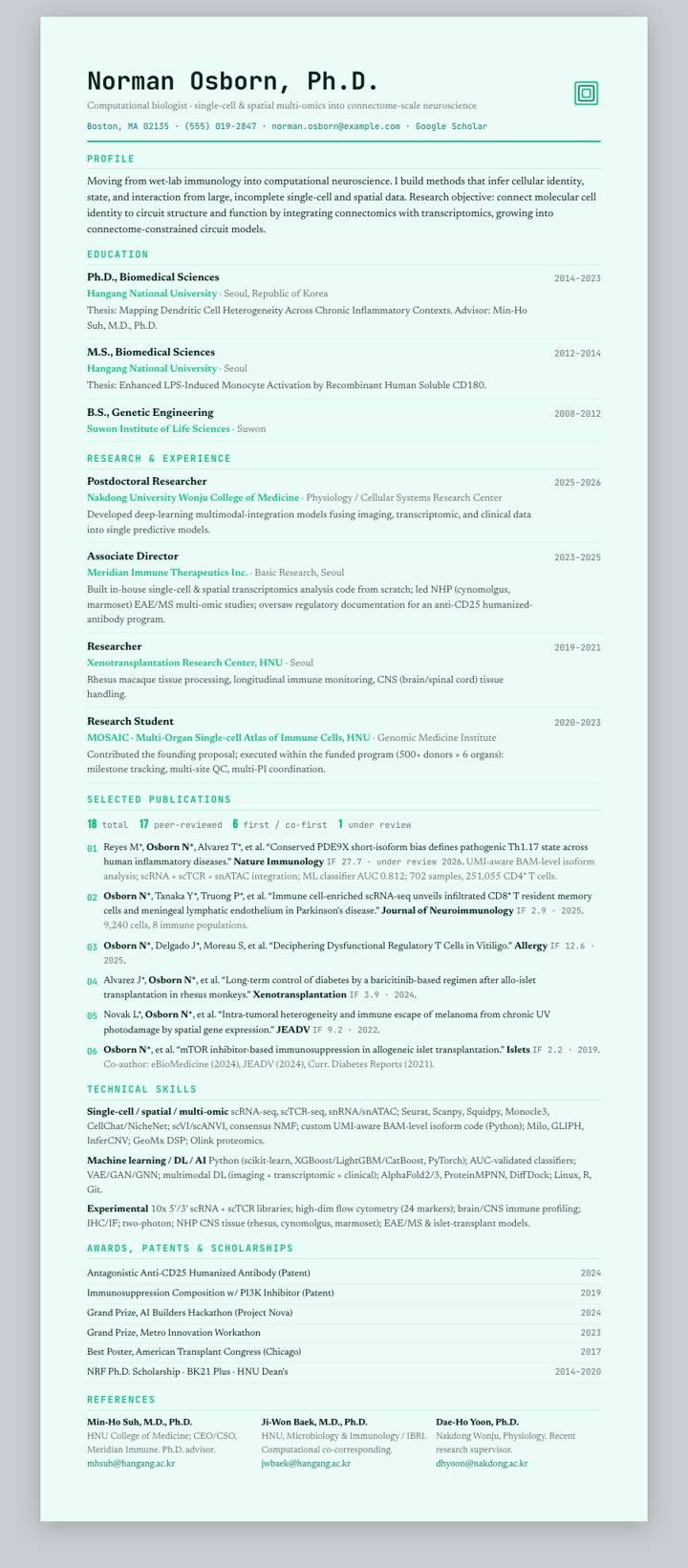 Mint Ink Ledger CV template preview