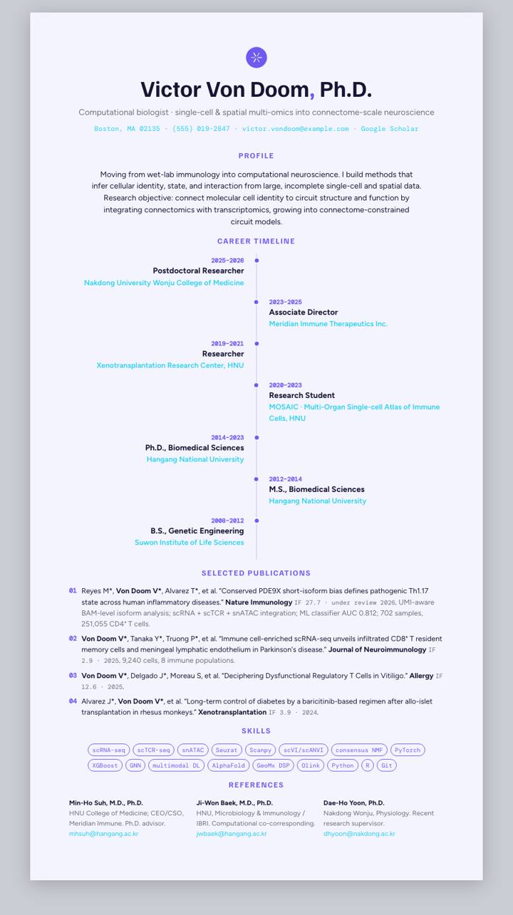 Indigo Frost Timeline CV template preview