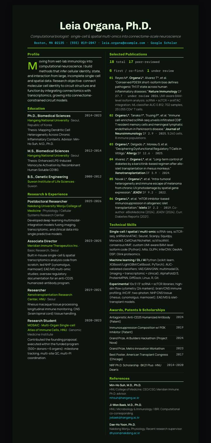 Lime Dark Editorial CV template preview