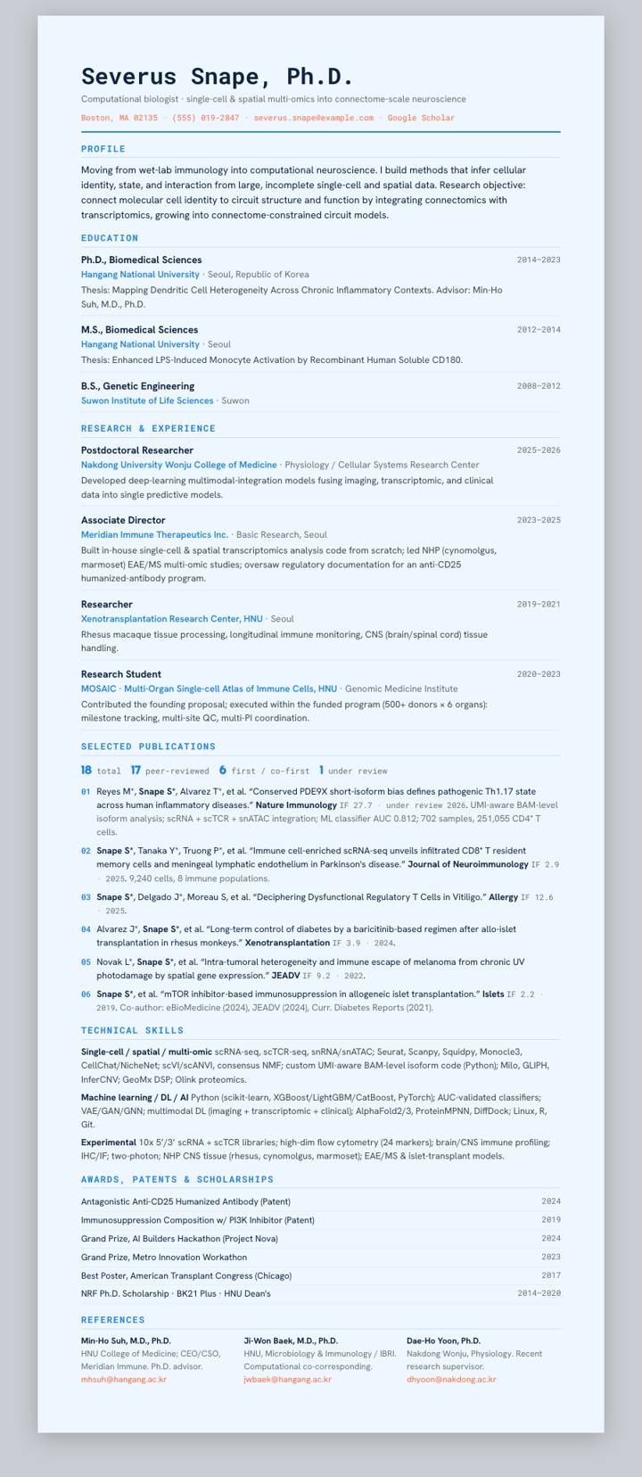Sky Split Ledger CV template preview