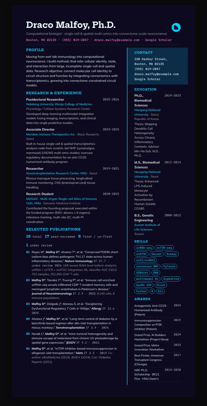 Cyan Y2K Rail CV template preview