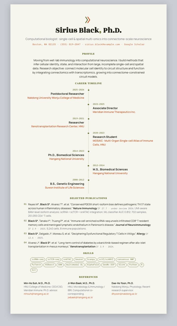 Olive Mag Timeline CV template preview