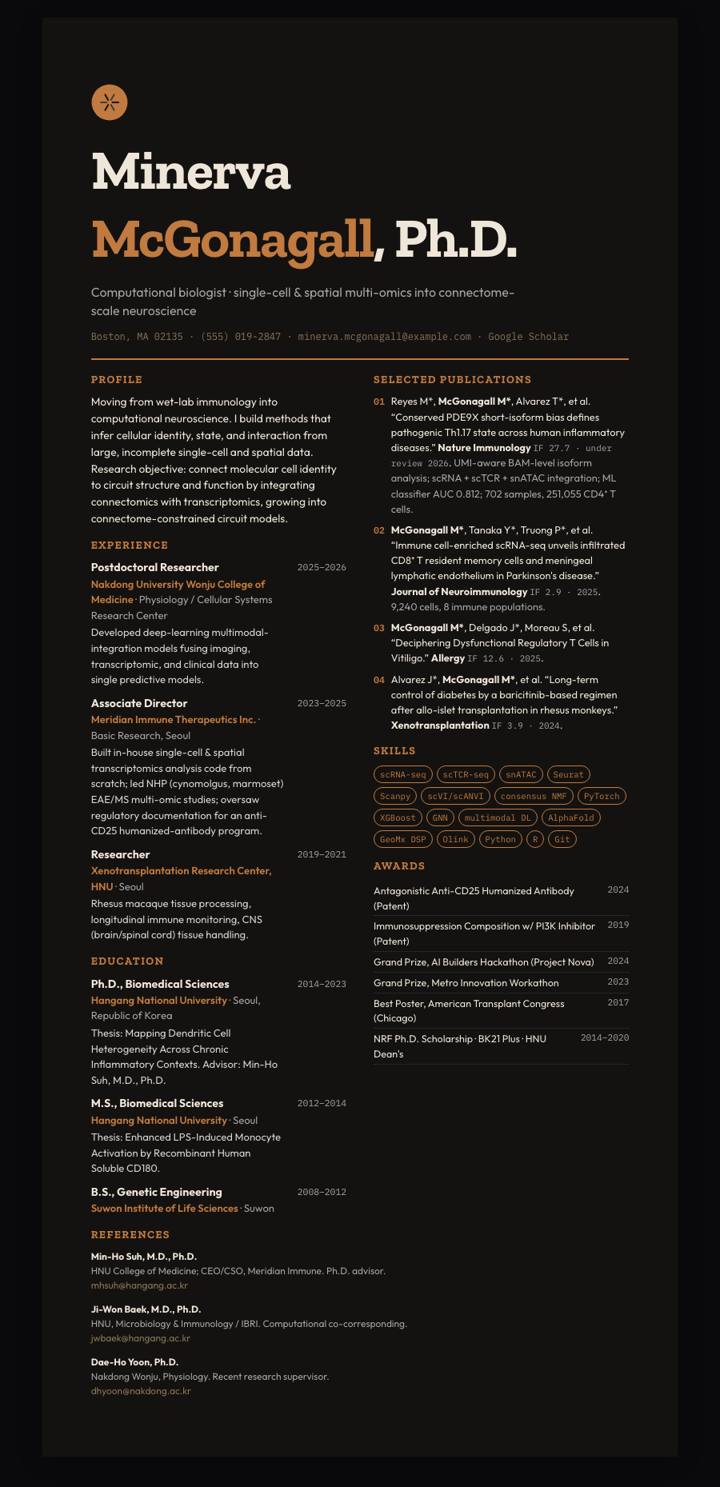 Copper Dark Poster CV template preview