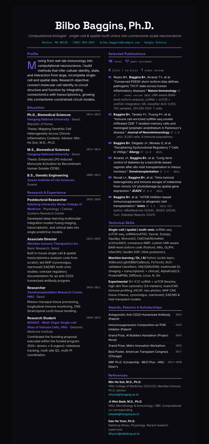 Ultra Noir Editorial CV template preview