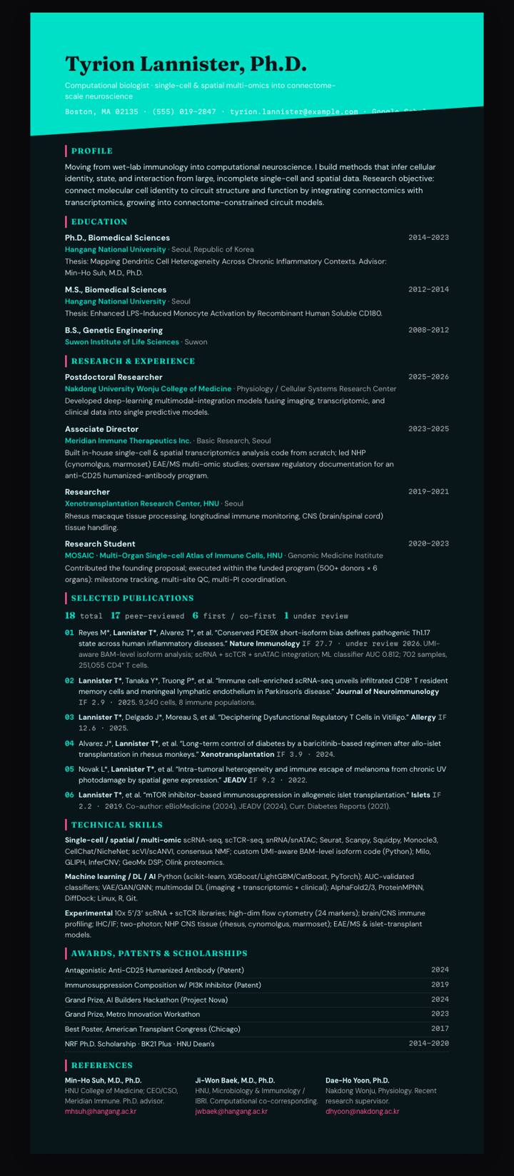 Electric Teal Diagonal CV template preview