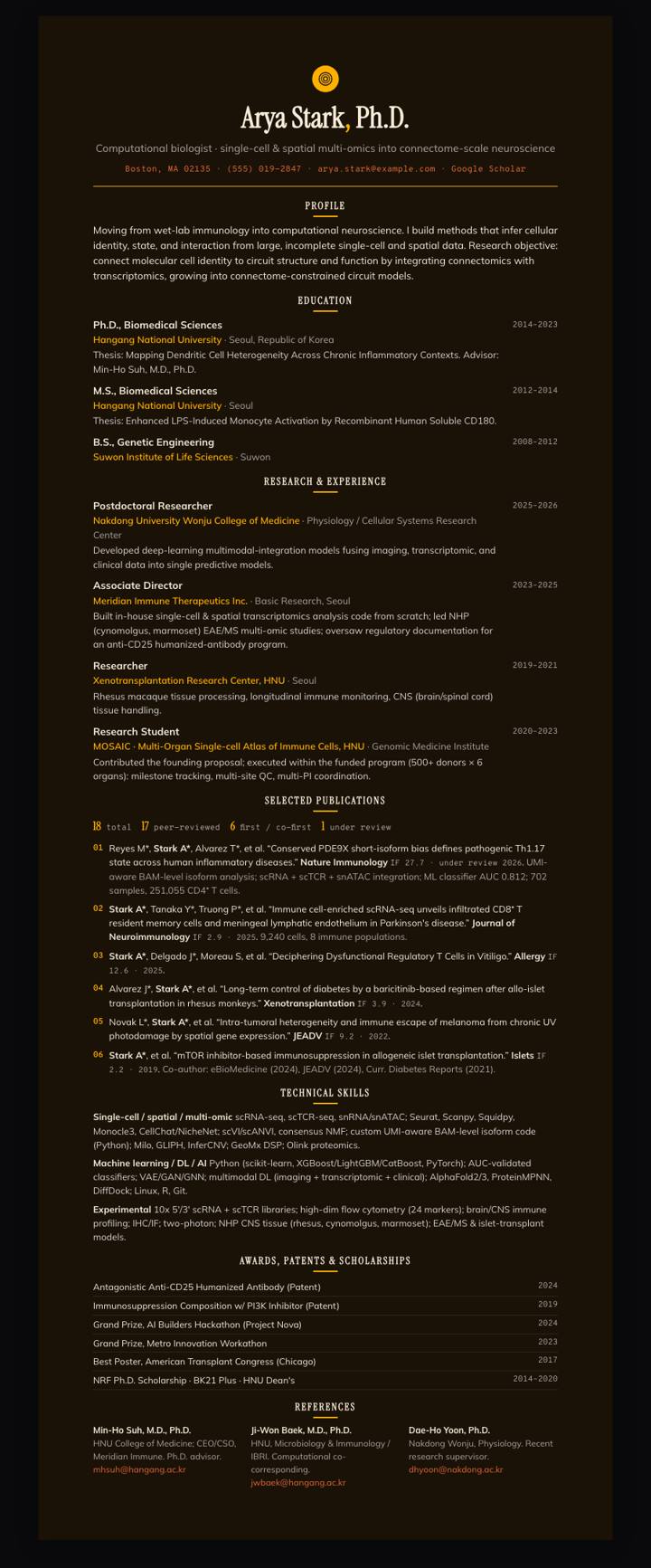 Amber Dusk Centered CV template preview