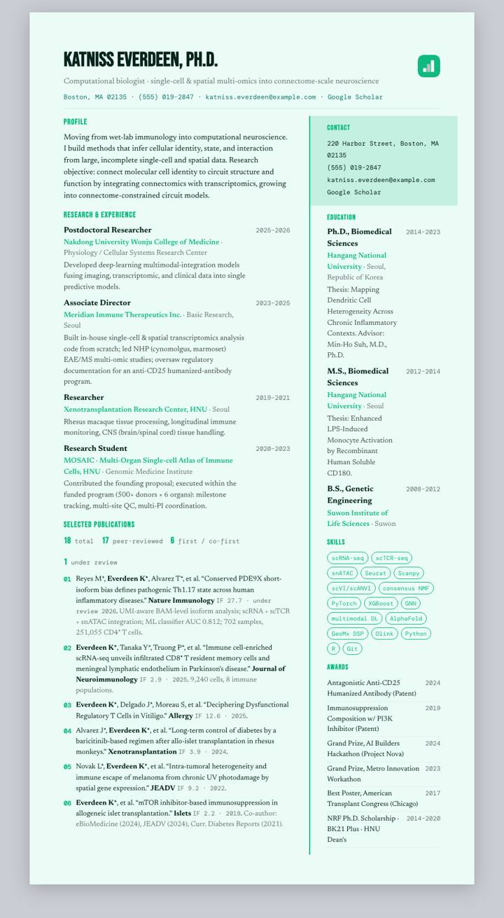 Mint Ink Rail CV template preview