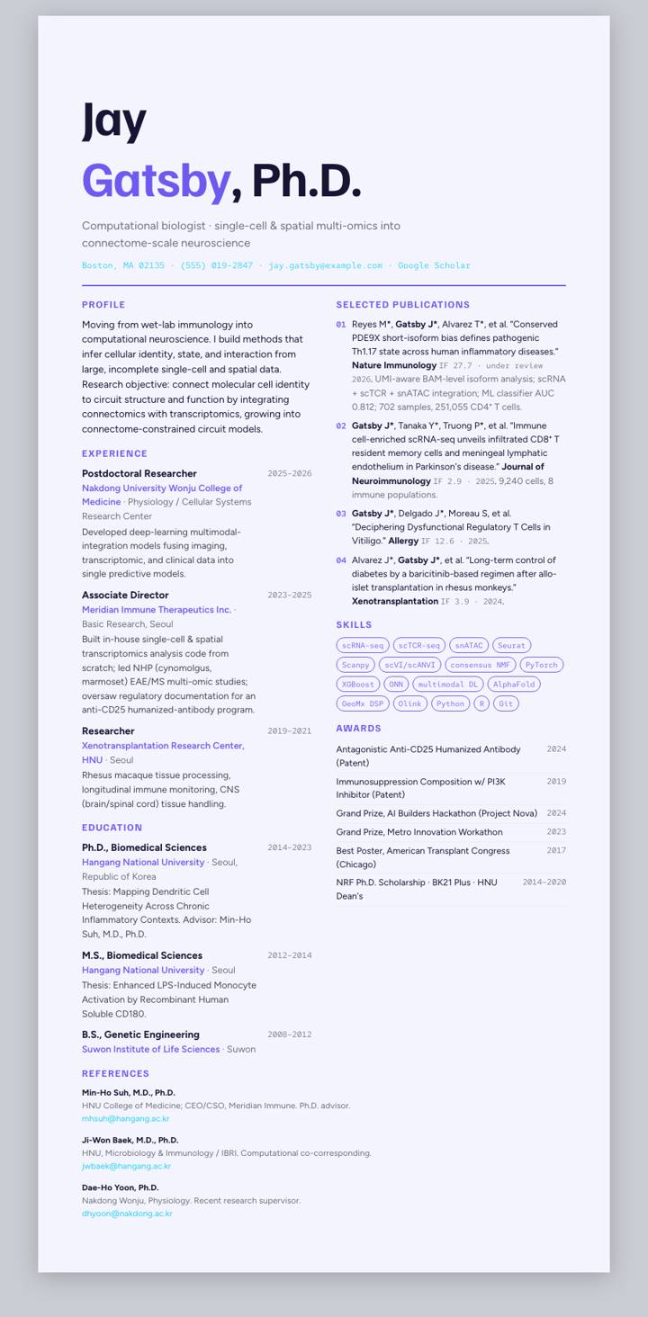 Indigo Frost Poster CV template preview