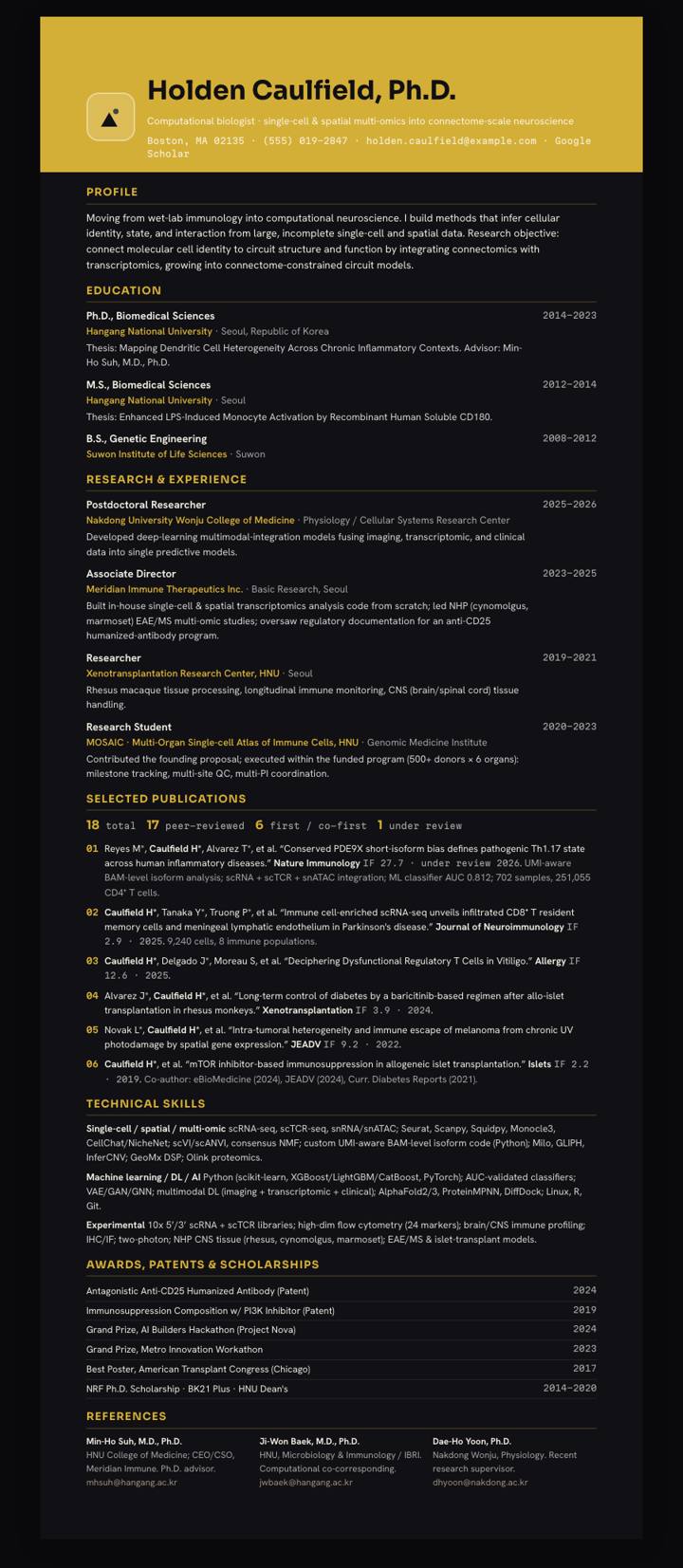 Gold Noir Crest CV template preview