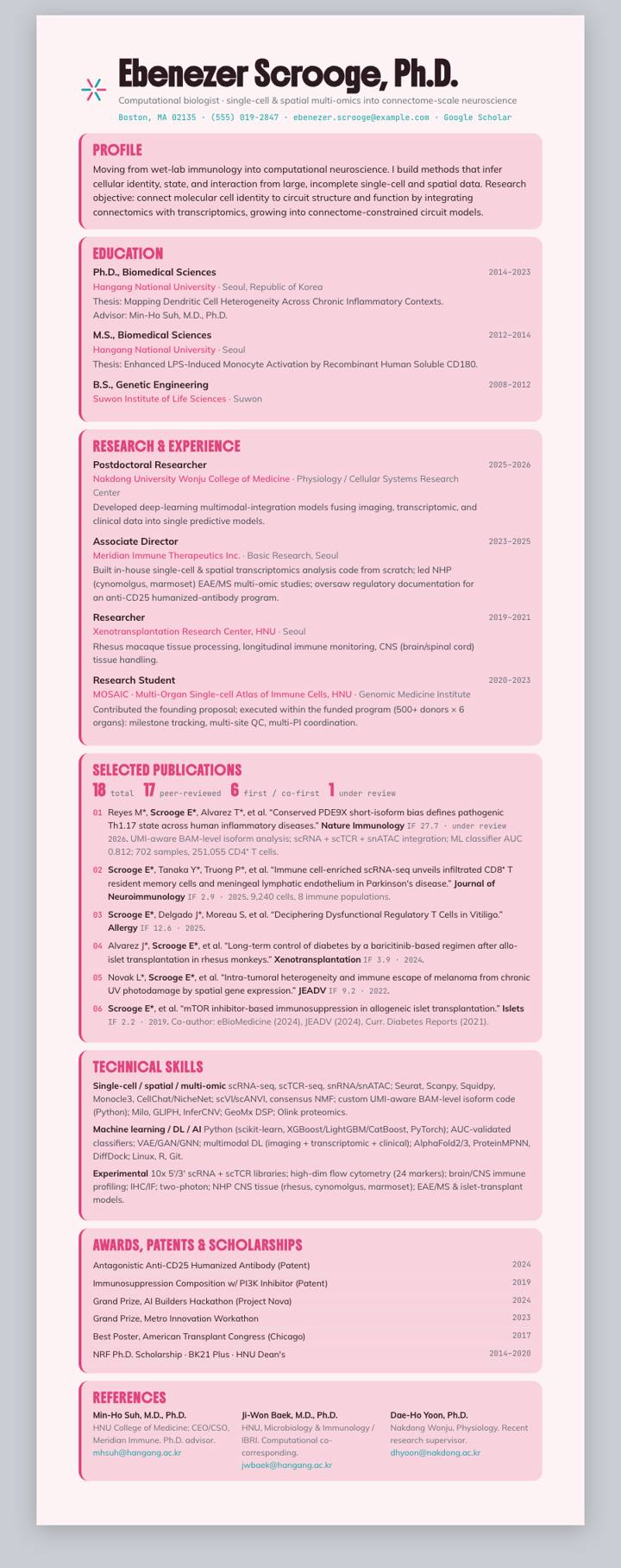Blush Bento Cards CV template preview