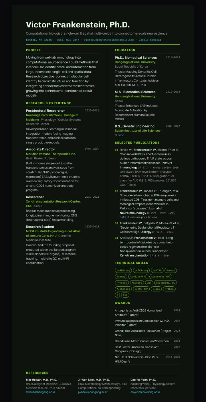 Lime Dark Bicolumn CV template preview